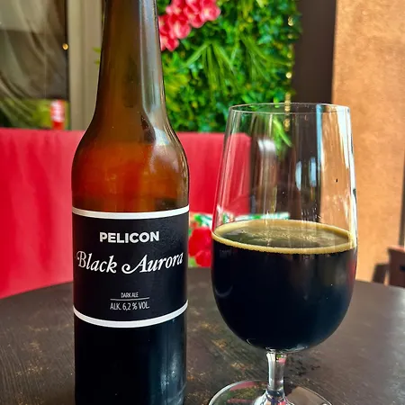 Prenocisca Zvezda בית הארחה 3*