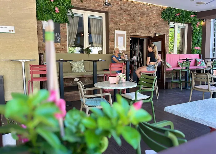 ゲストハウス Prenocisca Zvezda